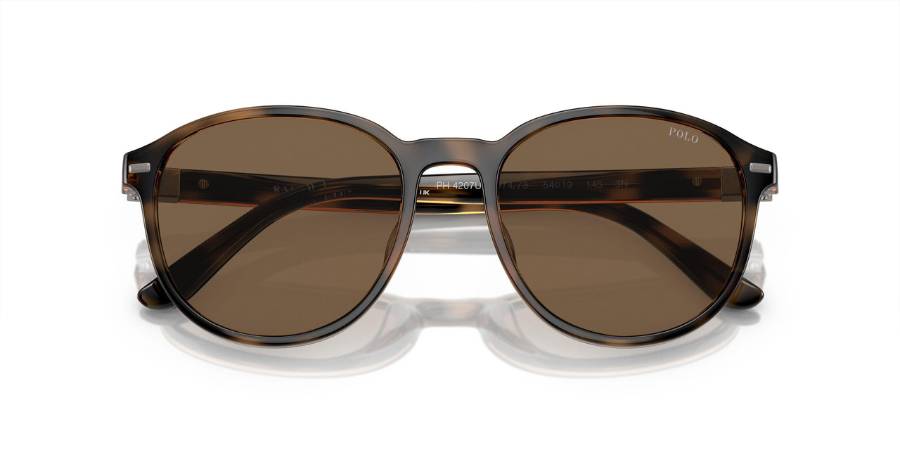 597473 - Tortoise - Brown