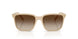 842013 - Brown - Brown Gradient