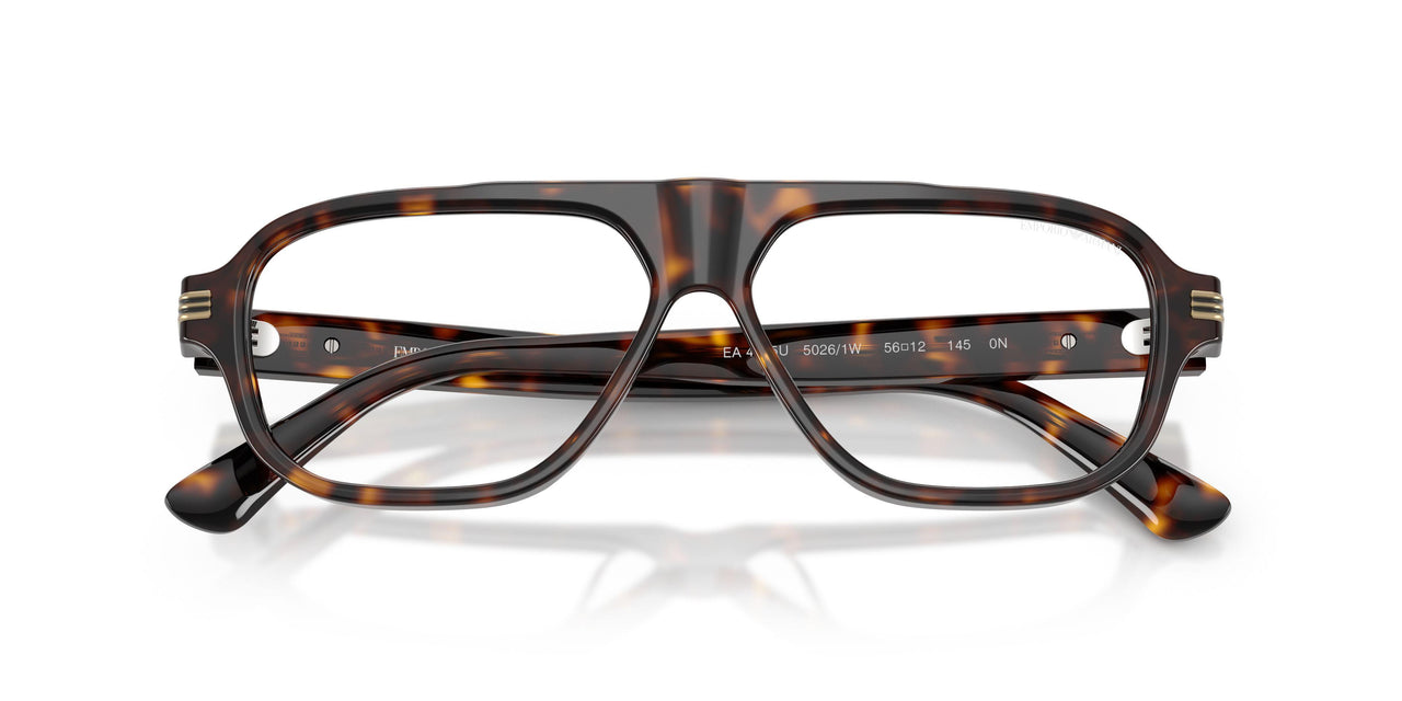 50261W - Tortoise - Clear