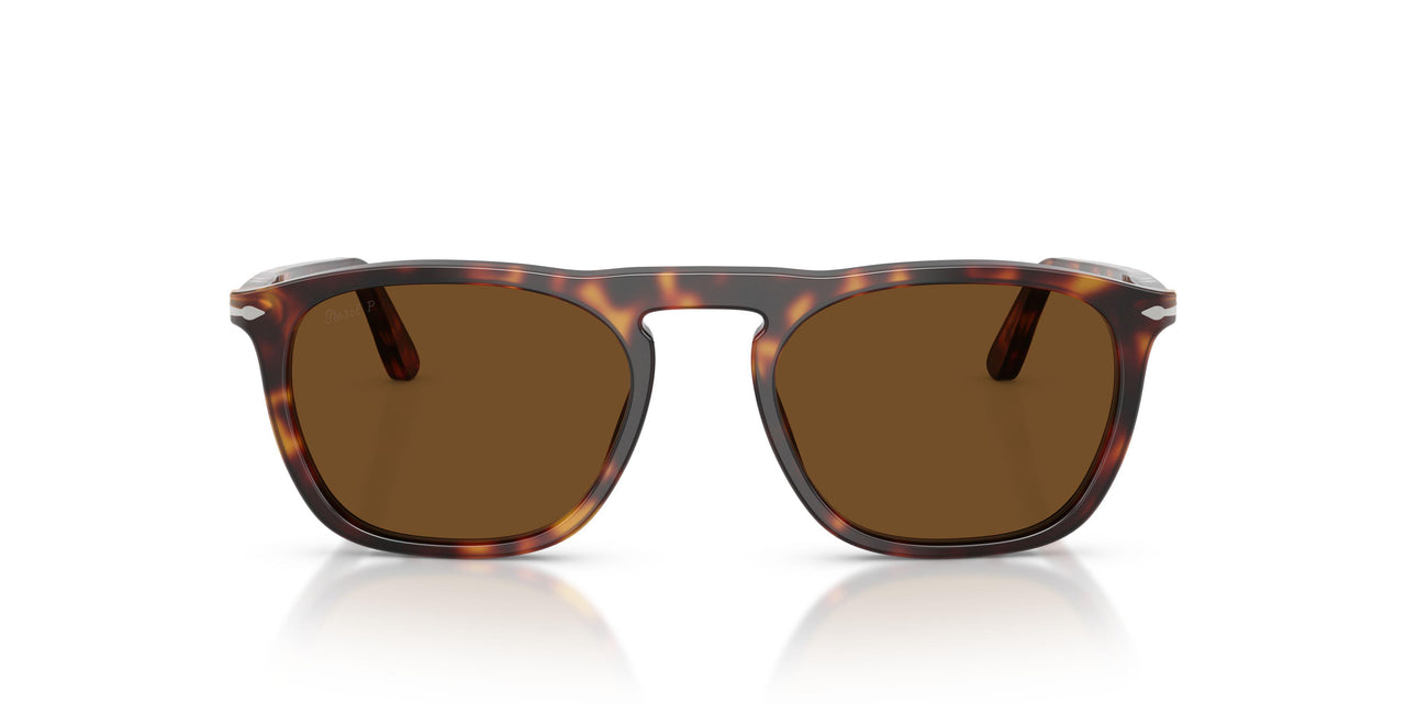 24/57 - Tortoise - Polar Brown