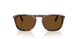 24/57 - Tortoise - Polar Brown