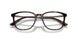5026 - Tortoise