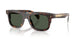 30029A - Tortoise - Green Polar