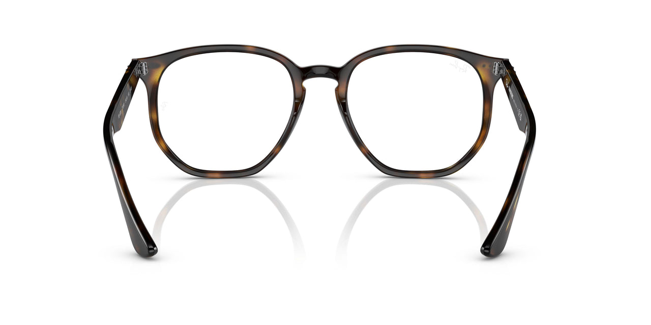 710/M1 - Havana - Photo Clear To Grey/green Quar