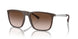 534213 - Brown - Gradient Brown