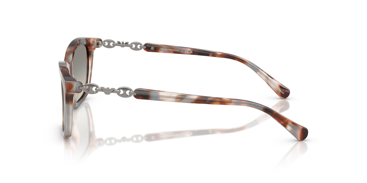61953C - Tortoise - Grey Gradient