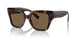 502/73 - Tortoise - Dark Brown