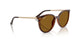 710/83 - Brown - Dark Brown Polarized