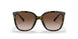 300613 - Havana - Brown Gradient