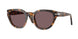 105253 - Tortoise - Violet