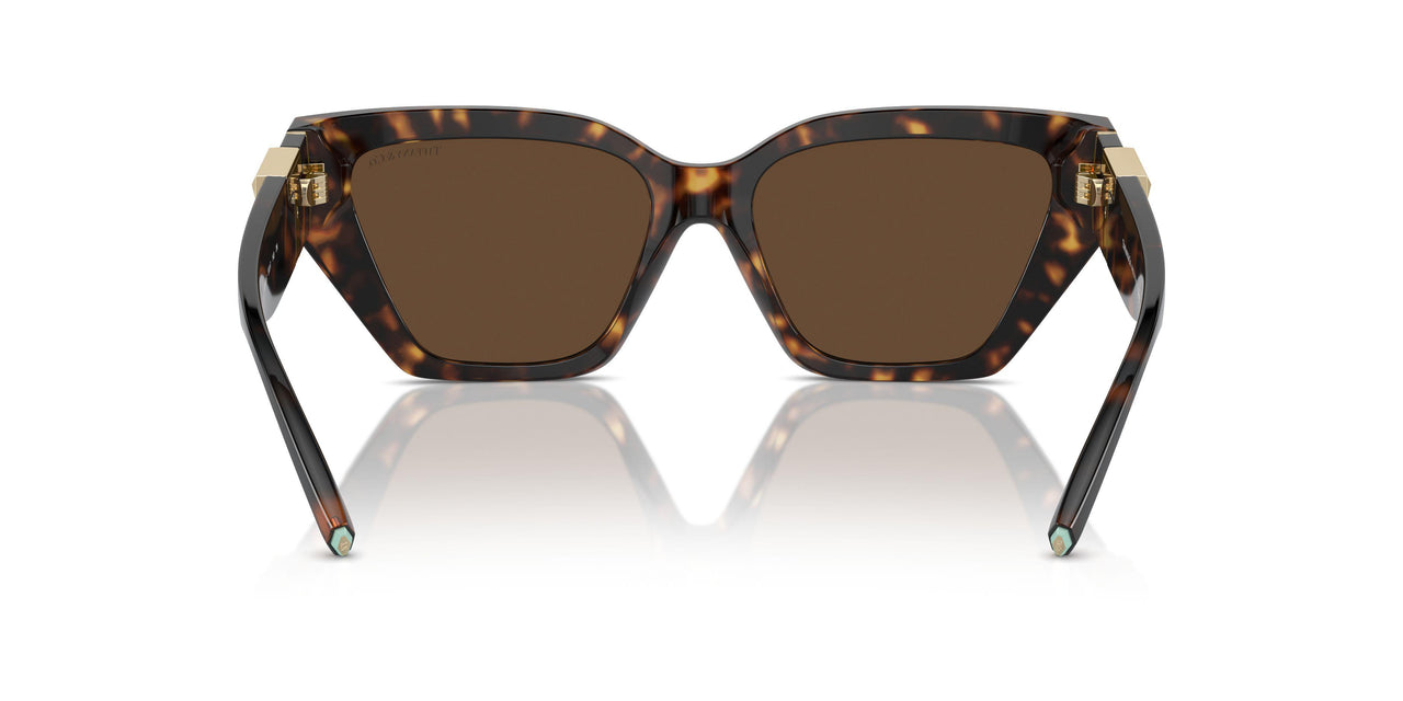 80153G - Tortoise - Light Brown