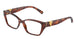8002 - Tortoise