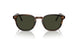 1724P1 - Brown - Green Polarized
