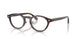 Ray-Ban 5457D Eyeglasses