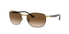 900951 - Brown - Clear Gradient Brown