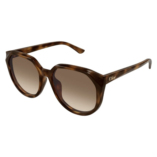 003 - Havana - Brown