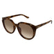 003 - Havana - Brown