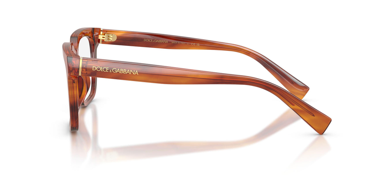 3221 - Brown