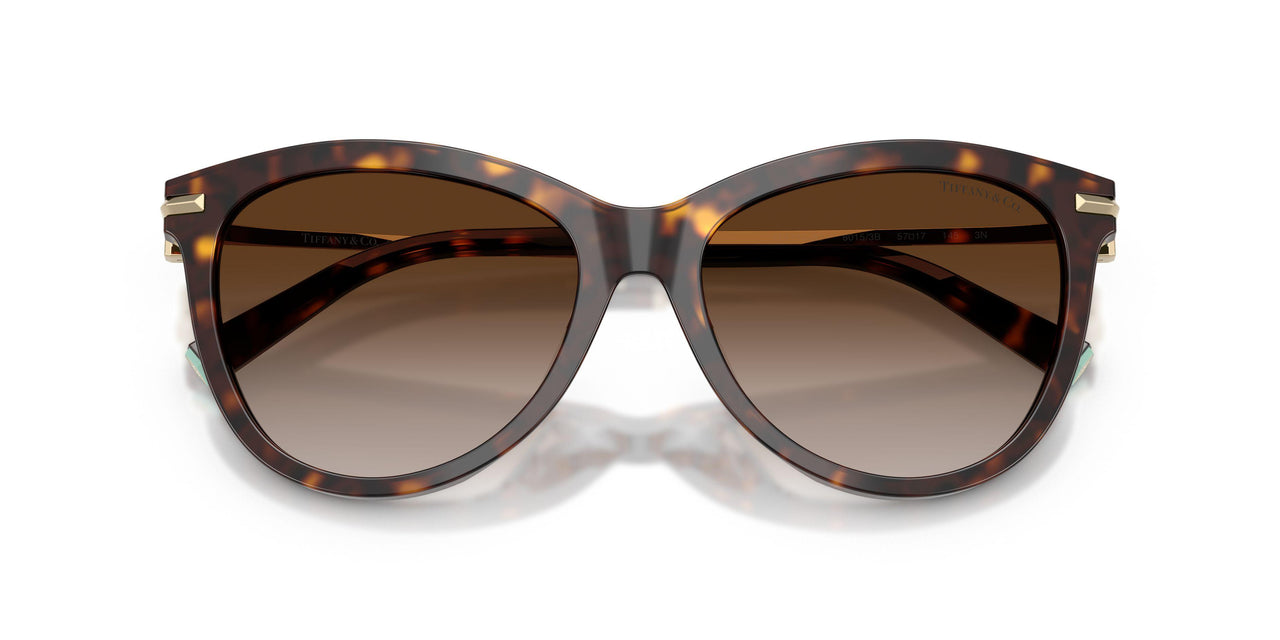 80153B - Tortoise - Brown Gradient