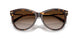 80153B - Tortoise - Brown Gradient
