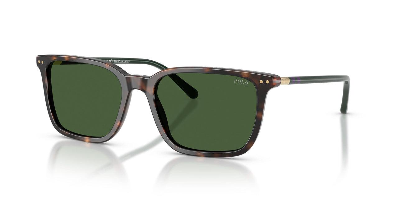 567371 - Tortoise - Bottle Green