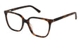 S412 - TORTOISE / 51