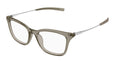 003 - Brown/Silver - Transparent