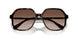 100213 - Tortoise - Brown Gradient