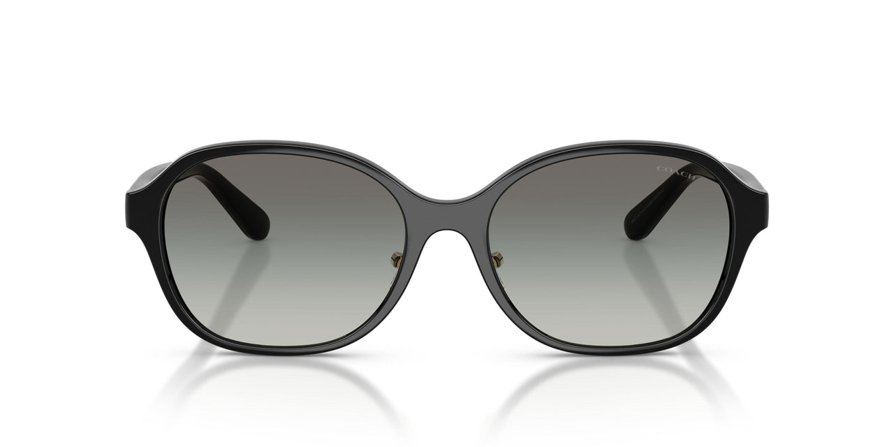 500211 - Black - Grey Gradient