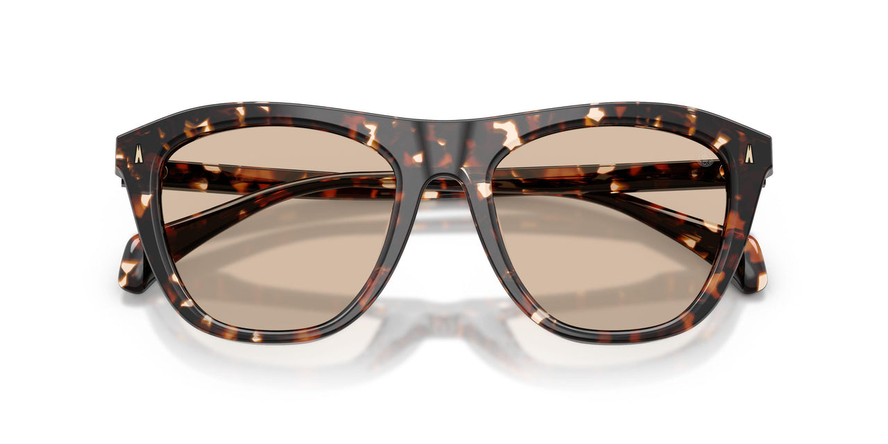304893 - Tortoise - Solid Light Brown