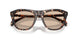 304893 - Tortoise - Solid Light Brown