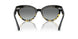 117811 - Black - Grey Gradient