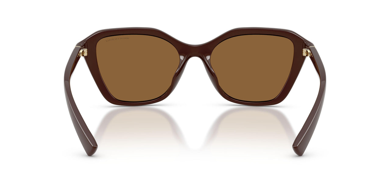 841473 - Brown - Brown