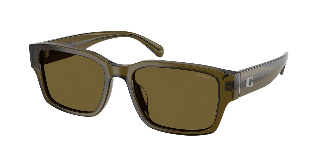 Coach Cby96 8441U Sunglasses