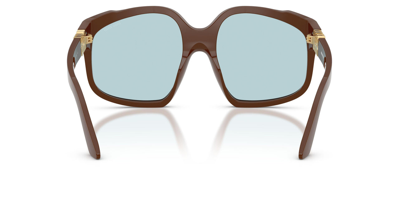 24D20R - Brown - Light Blue