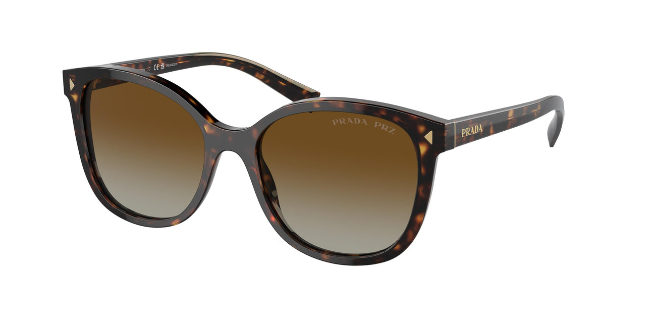 2AU6E1 - Tortoise - Polar Brown Gradient