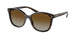 2AU6E1 - Tortoise - Polar Brown Gradient