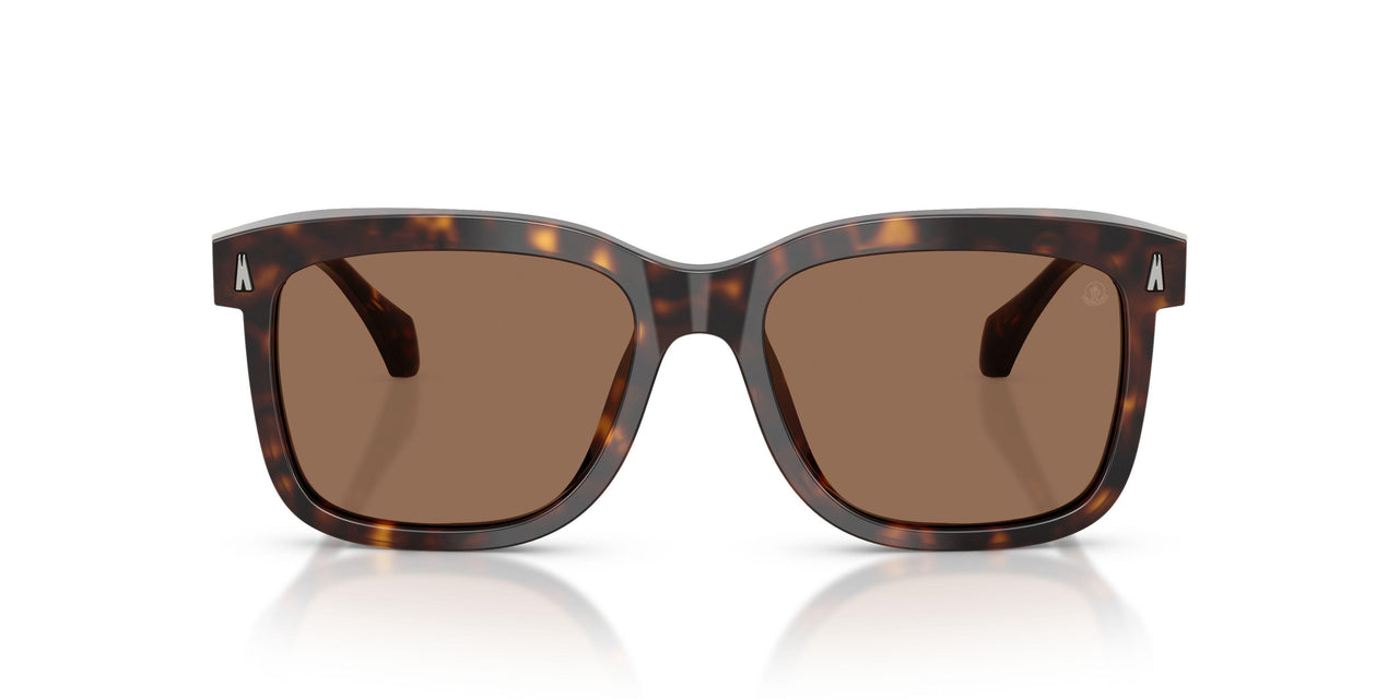 300273 - Tortoise - Brown Solid