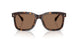 300273 - Tortoise - Brown Solid