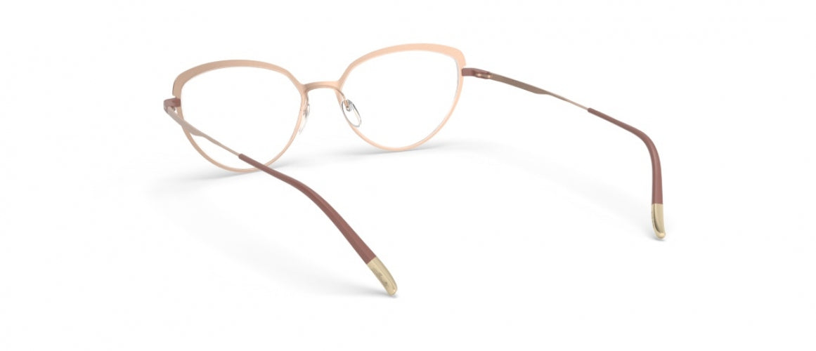 6040 - brown