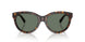 80153H - Tortoise - Dark Green