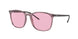 Ray-Ban 4387 Sunglasses