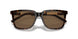 587973 - Tortoise - Dark Brown