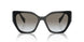 1AB0A7 - Black - Grey Gradient