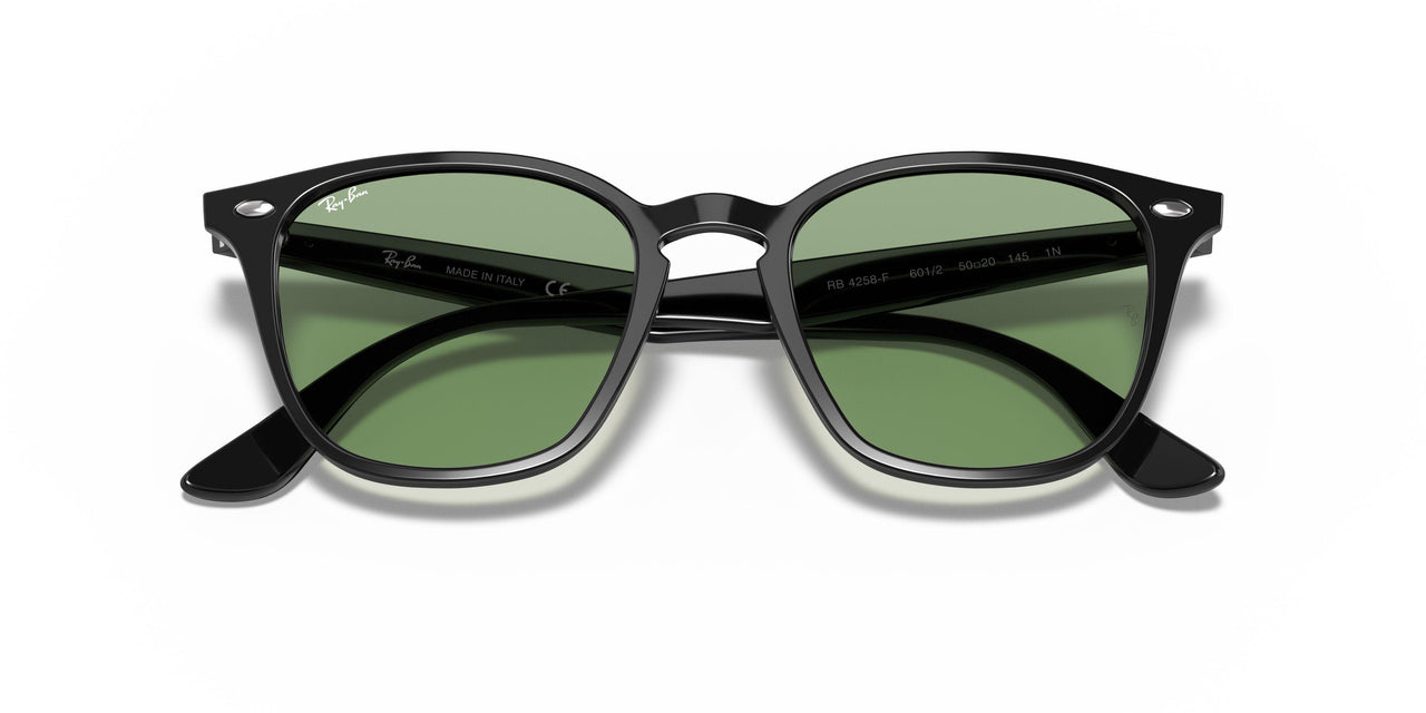 601/2 - Black - Light Green