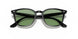 601/2 - Black - Light Green