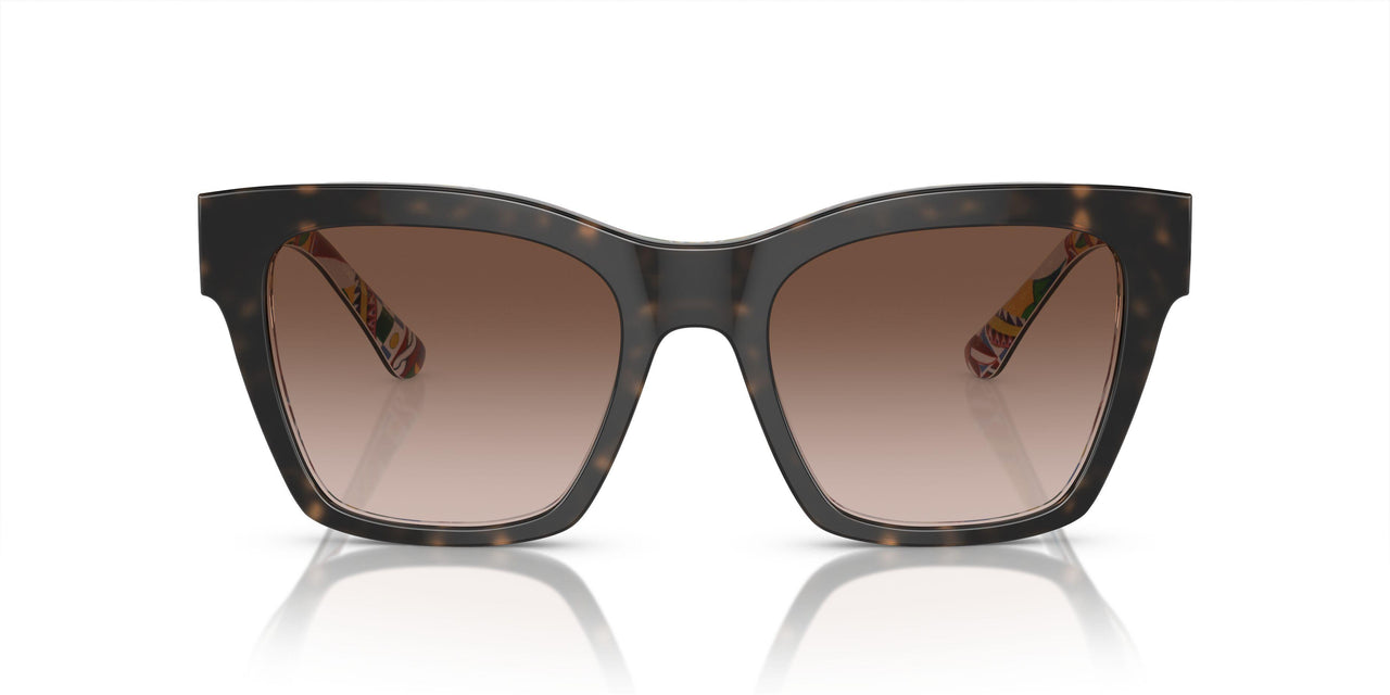 321773 - Tortoise - Brown Gradient