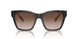 321773 - Tortoise - Brown Gradient