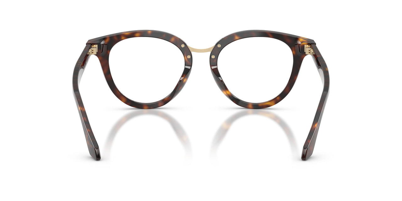 6124 - Tortoise