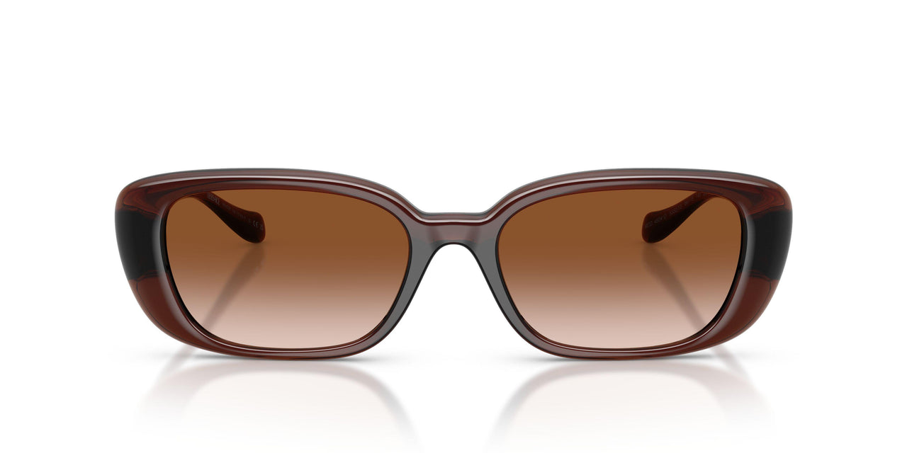 533213 - Brown - Brown Gradient